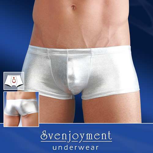 Svenjoyment Men's Silver Pants