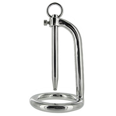 Master Series Stainless Steel Cock Ring And Urethral Plug 1