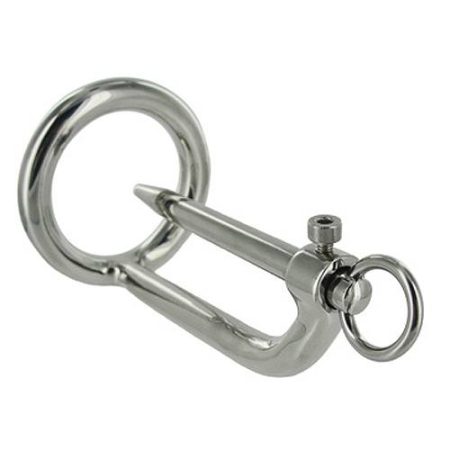 Master Series Stainless Steel Cock Ring And Urethral Plug 2