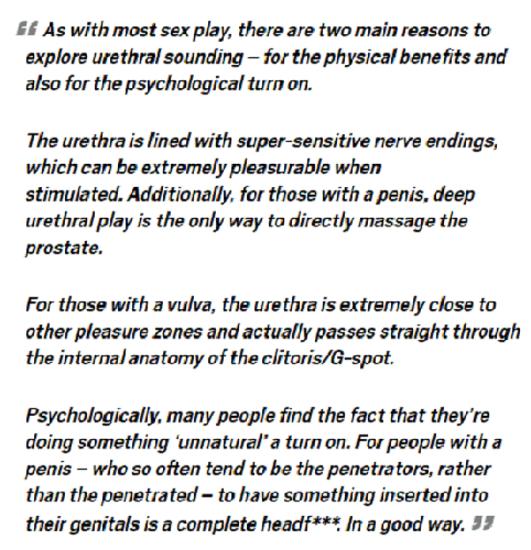 Ultimate Guide To Urethral Sounding 6
